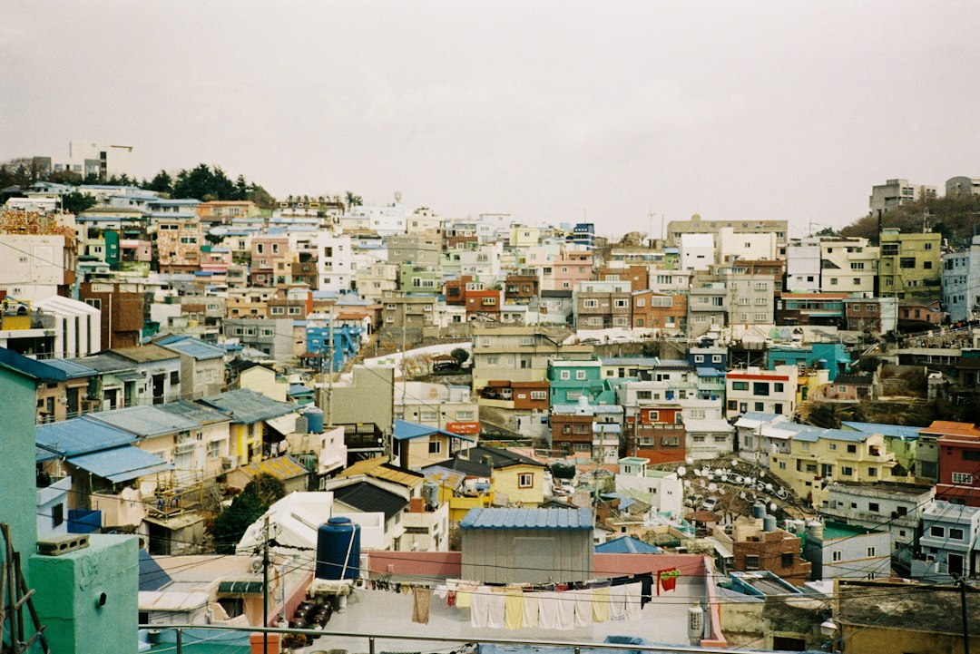 금반지언니 참고 이미지 2